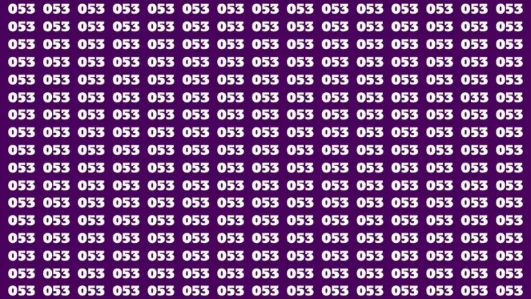 Observation Find it Out: If you have Eagle Eyes Find the Number 053 among 033 in 15 Secs