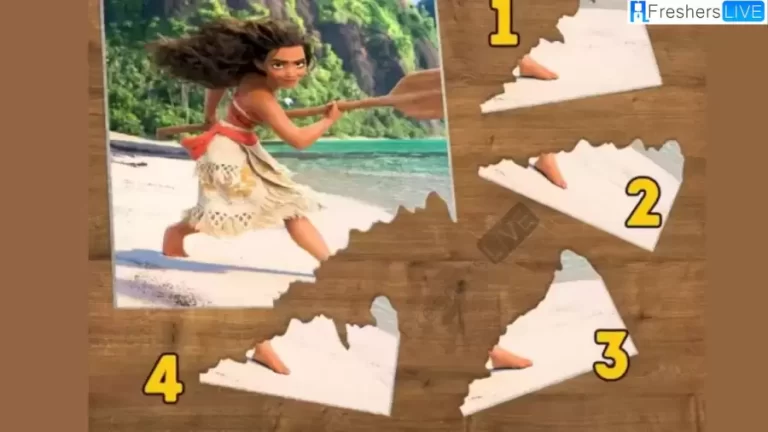 Find the Missing Piece to Complete the Moana Picture Disney Puzzle