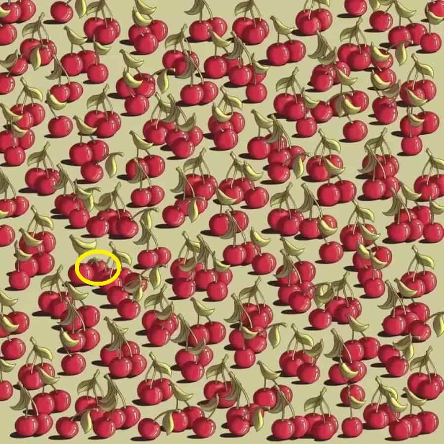 Find the Tomato in 9 Seconds