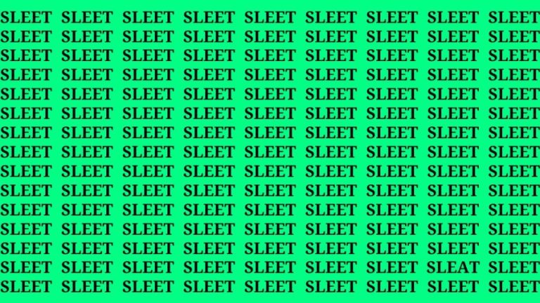 Brain Test: If you have Hawk Eyes Find the word Sleat among Sleet in 18 Secs