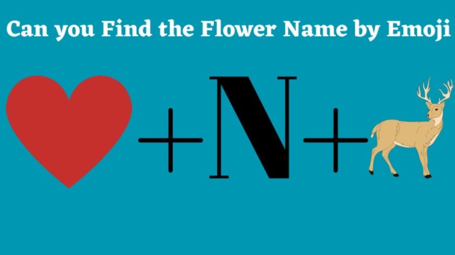 Brain Teaser Emoji Puzzle: Can You Find the Flower Name by Emojis in 10 Seconds?