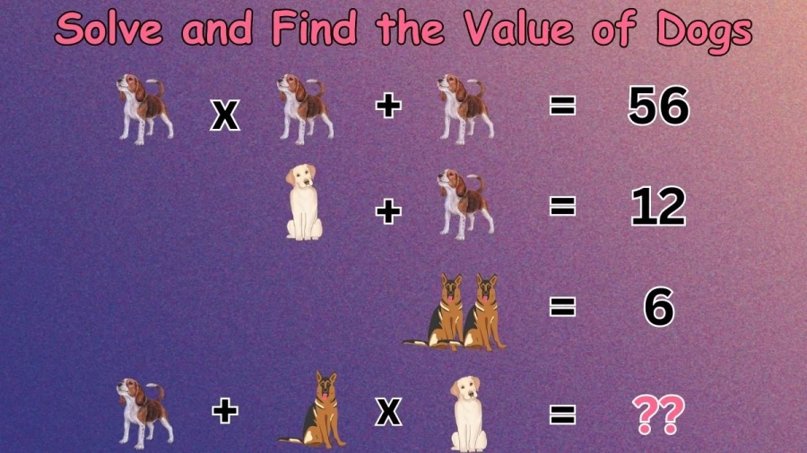Brain Teaser: Solve and Find the Value of Dogs