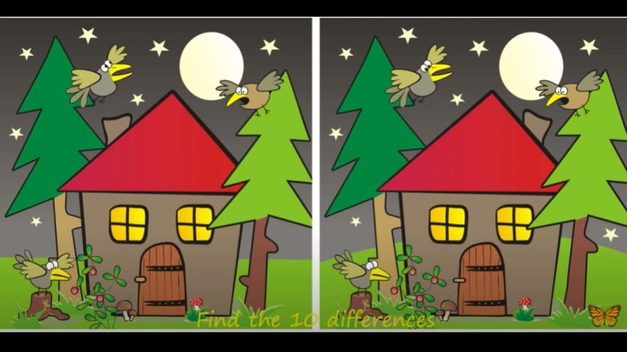 Brain Teaser: Can You Spot 10 Differences Between These Two Pictures In 20 Secs?