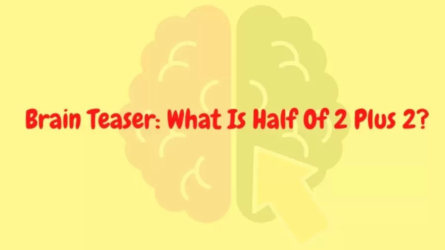 Brain Teaser Maths Riddle: What Is Half Of 2 Plus 2?