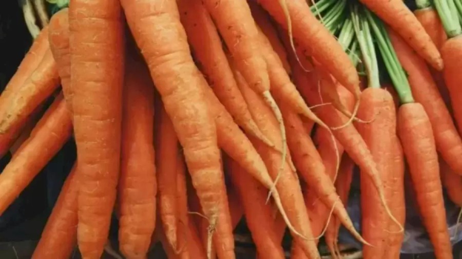 Can You Find the Rabbit Hidden Among the Carrots? Explanation and Solution to the Optical Illusion