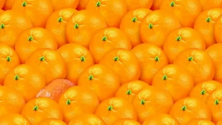Optical Illusion To Trick Your Eyes: Spot The Hidden Tangerine Among These Oranges Within 9 Seconds