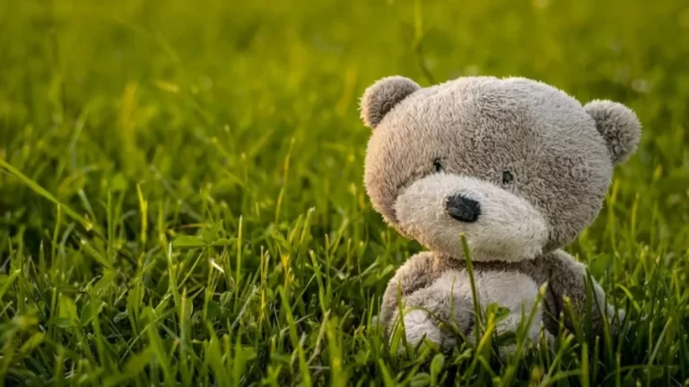 Optical Illusion Brain Test: Try To Find The Housefly In This Image Of A Teddy Bear On The Grass