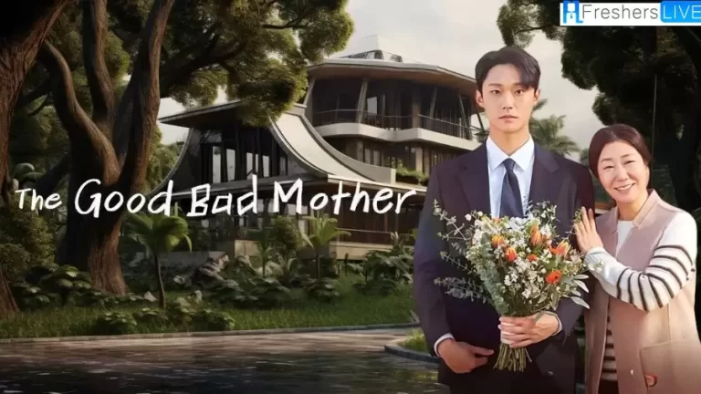 Good Bad Mother Ending Explained, Cast, Plot, and Where to Watch?