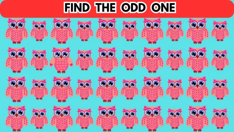 Brain Teaser: Can You Find The Odd One in 8 Seconds?
